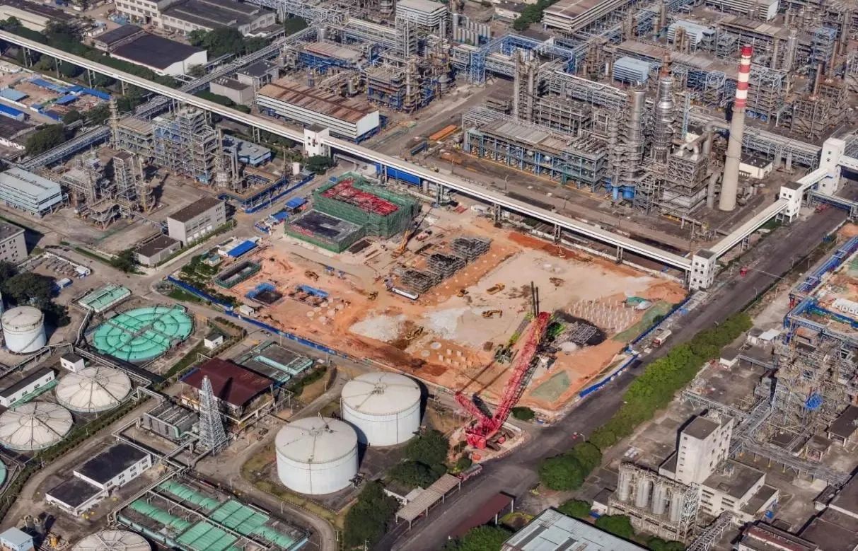 7、石化.jpg 7、石化.jpg