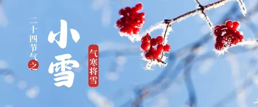 小雪 | 虽逢天地冻，恒守质如常